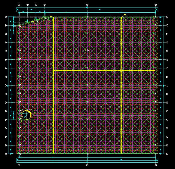 长春东营金岭化工大王煤棚网架